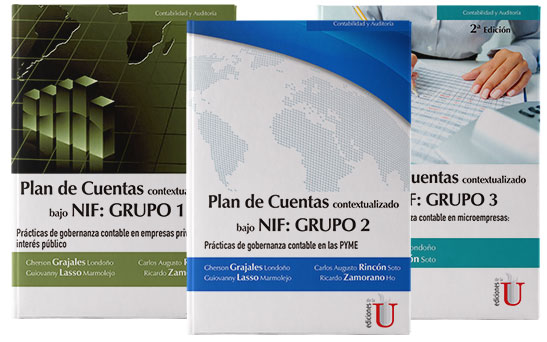 Plan de cuentas contextualizado NIIF