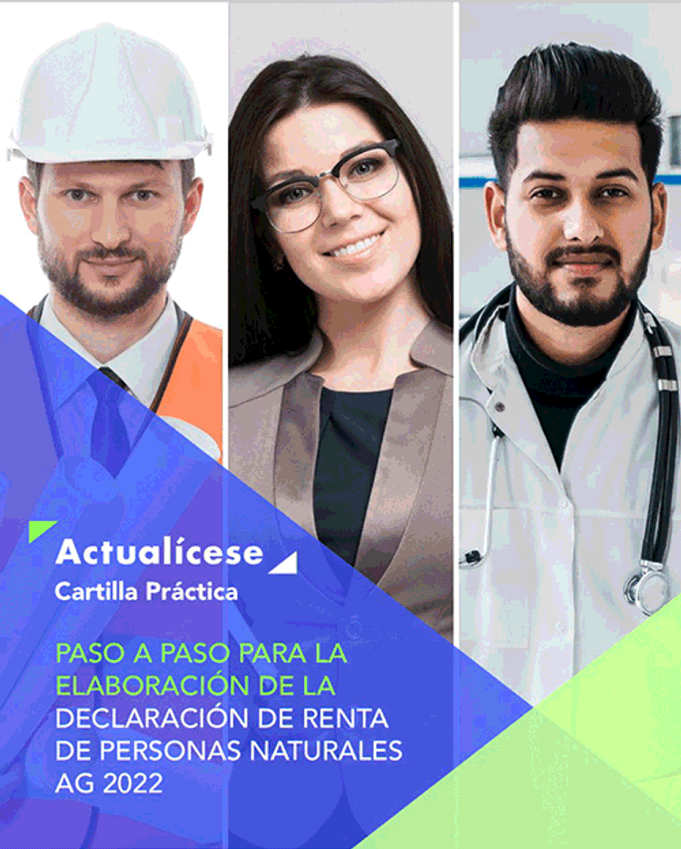 Ingresos en la declaración de renta de personas naturales AG 2022 ...
