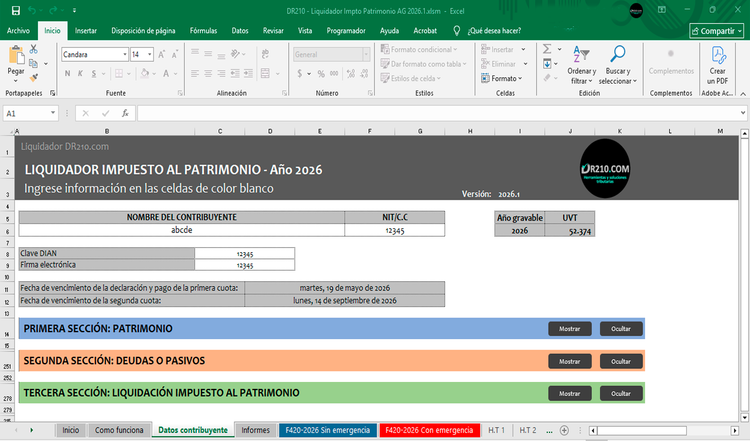 Liquidador de impuesto al patrimonio ag 2026 – DR210