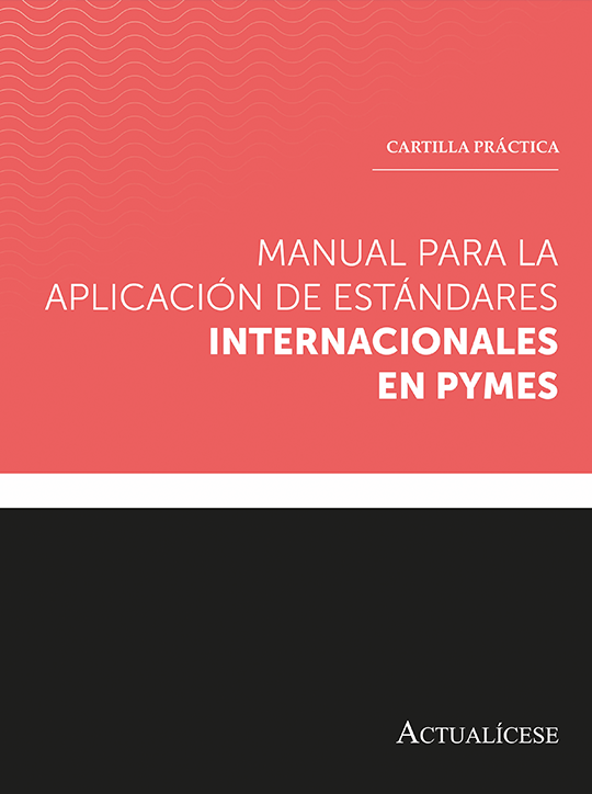 Cartilla Práctica: Manual para la aplicación de Estándares Internacionales en Pymes