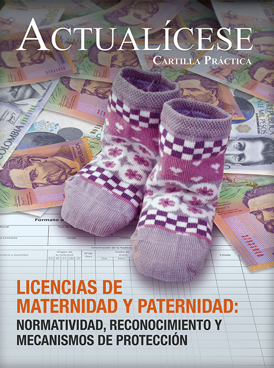 [Cartilla Práctica] Licencias de maternidad y paternidad: normatividad, reconocimiento y mecanismos de protección