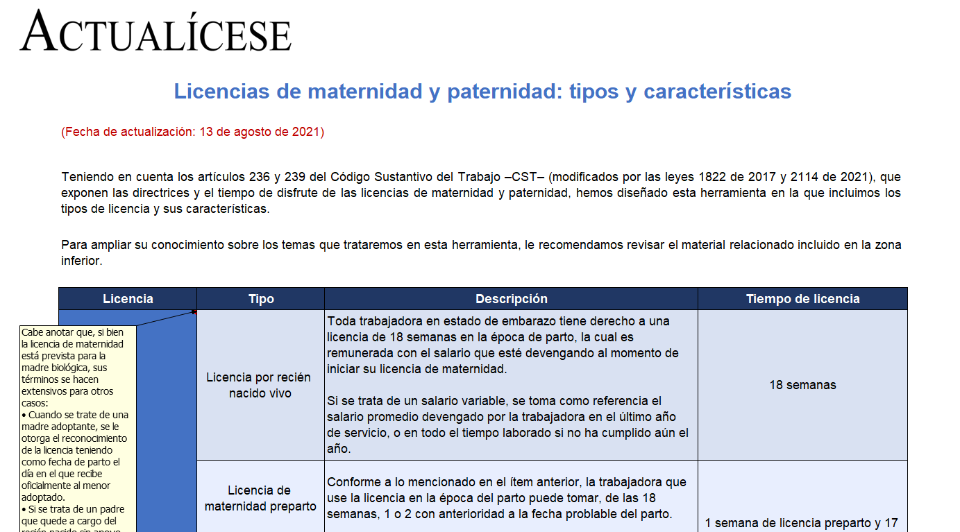 Matriz de licencias de maternidad y paternidad: tipos y características