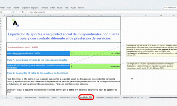 seguridad social