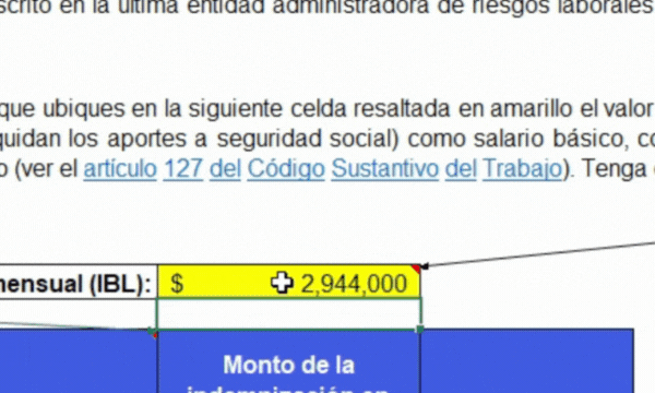 pérdida de capacidad laboral