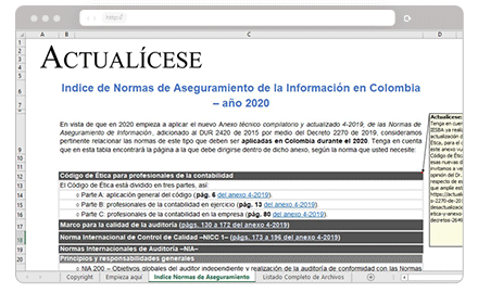 Pack de formatos: Dictámenes e informes del revisor fiscal actualizados al 2021