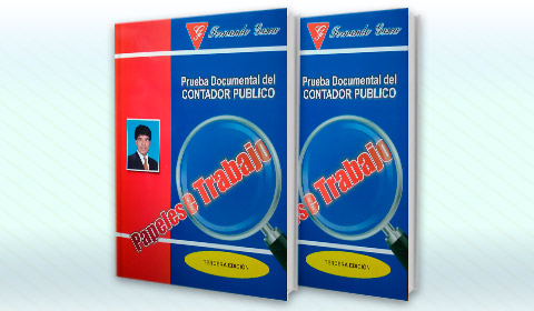 Prueba Documental del contador Público