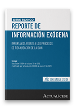 Reporte de información exógena: importancia frente a los procesos de fiscalización de la Dian – Año gravable 2019