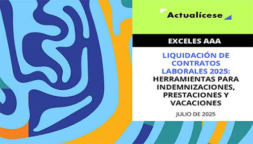 Artículo 3