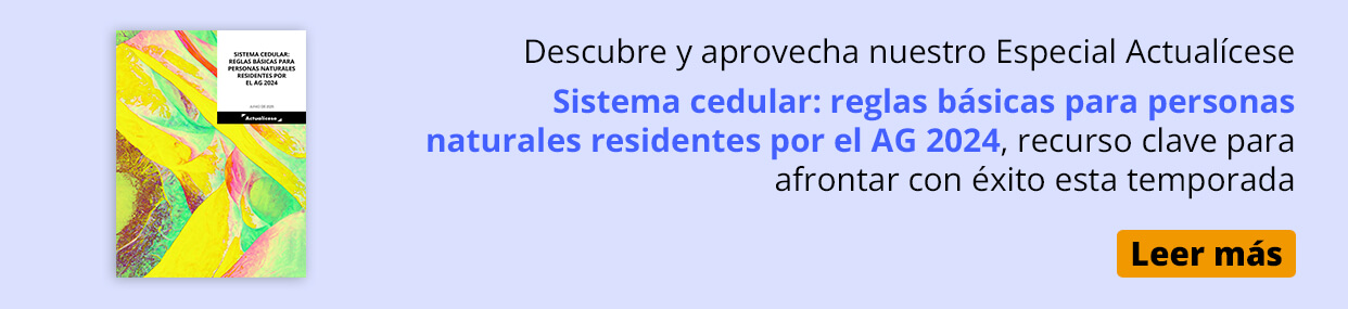 declaración de renta