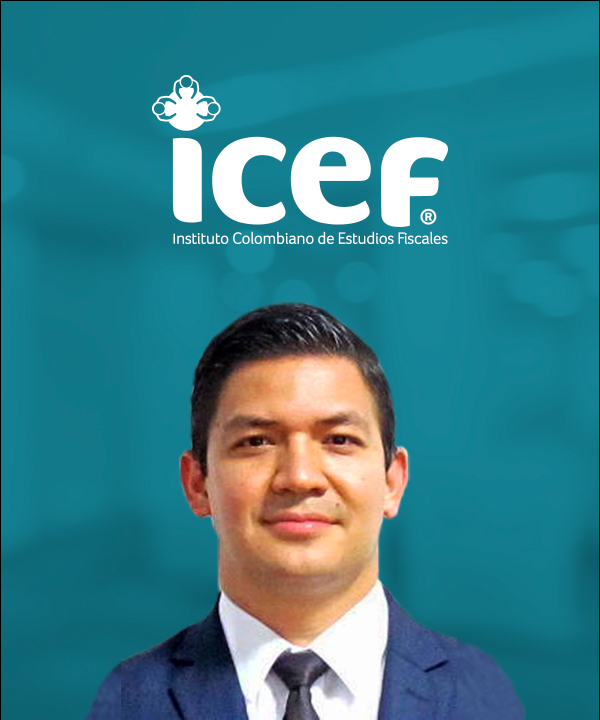 Seminario en línea: Planeación para la visita de la Junta Central de Contadores- ICEF