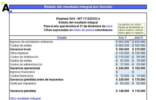 Modelo en Excel del estado de resultados con enfoque de gastos por naturaleza o función