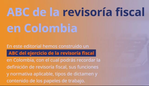 revisor fiscal