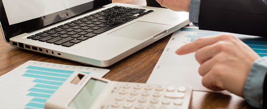 información exógena