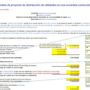 [Pack de Formatos] Dictámenes y guías útiles para el revisor fiscal