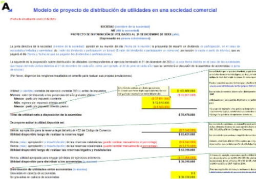 15va26-modelo-proyecto-distribucion-utilidades (1) | Actualícese revisor fiscal